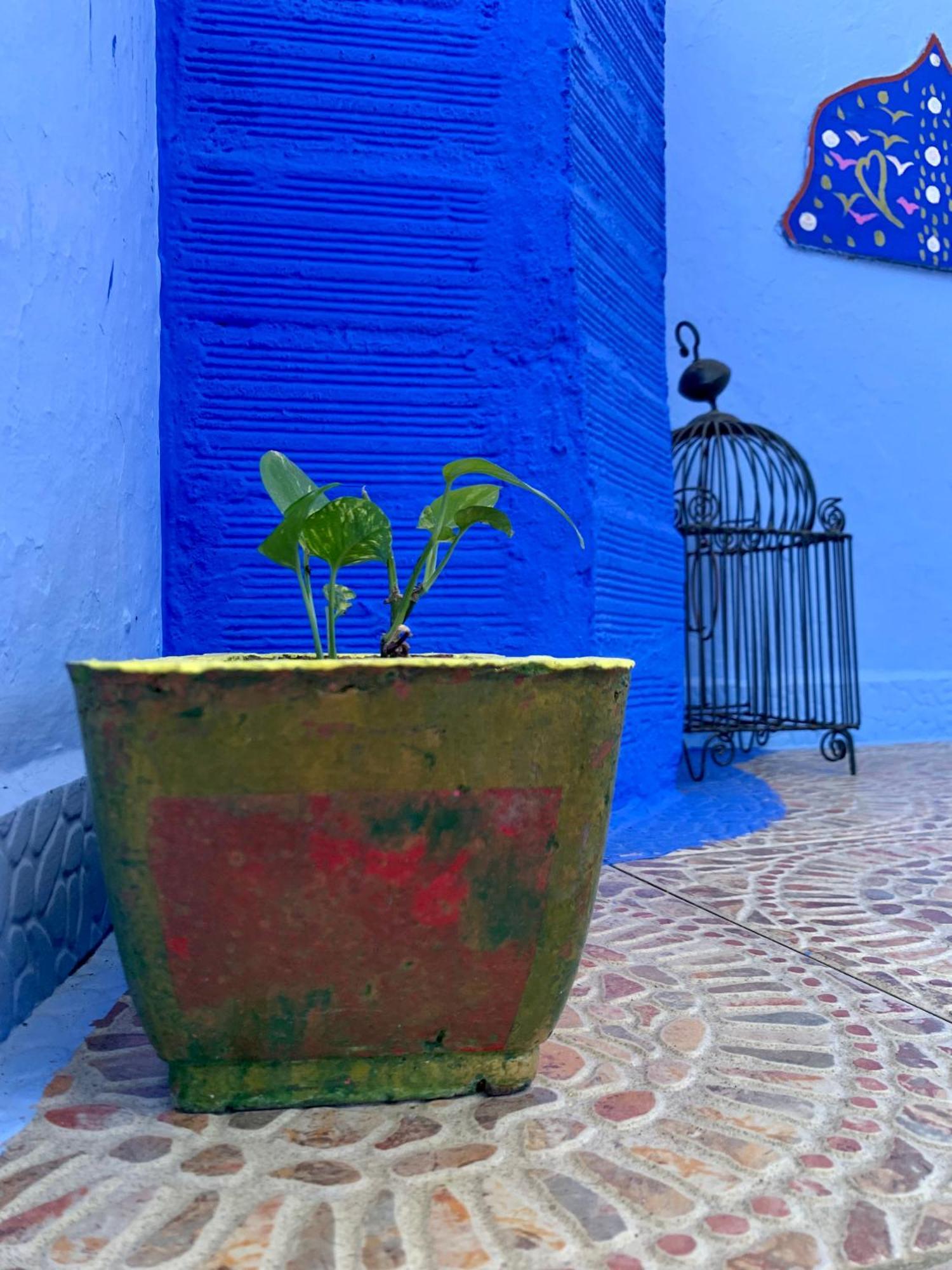 Dar Besmellah Hotell Chefchaouen Eksteriør bilde